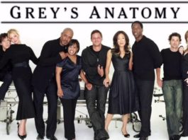 greys anatomy