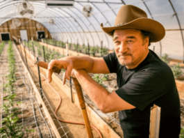 Jim Belushi: curiosità sul protagonista di La vita secondo Jim jim belushi curiosità