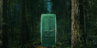 Wayward – Ribelli wayward ribelli